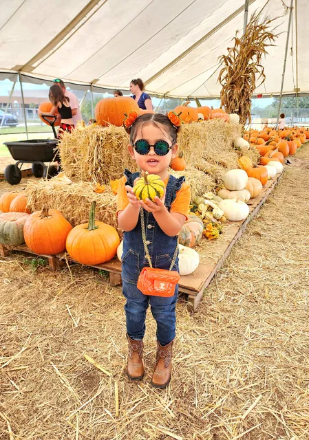 Heavenly Evergreens Pumpkin Patch and Christmas trees