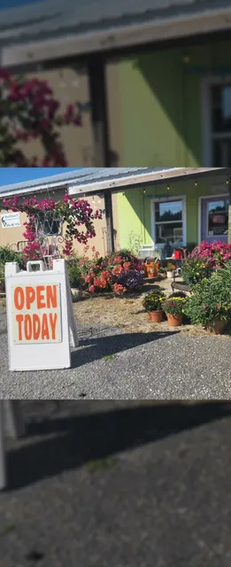 The Dragonfly Emporium