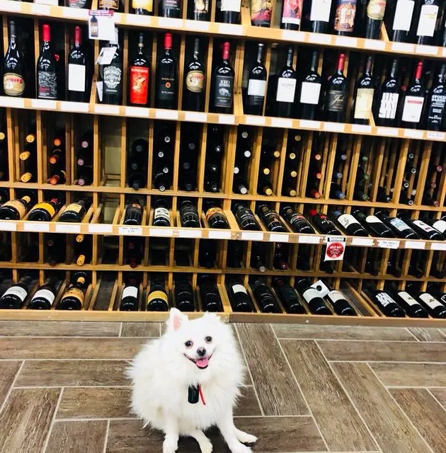 High Spirits Liquors