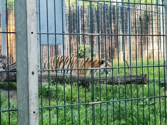 Hansestadt Stendal - Tiergarten