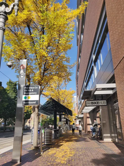 Portland State University Surplus Store