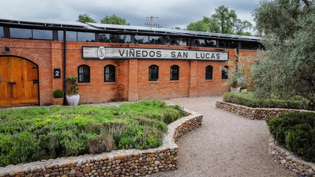 Viñedos San Lucas
