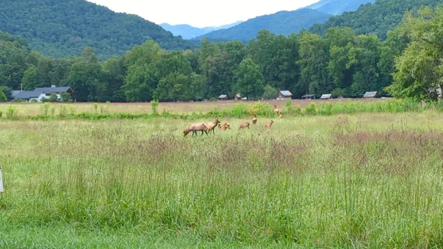 Oconaluftee Visitor Center Parking C
