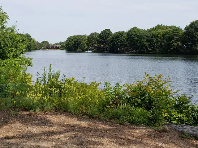 Falls Pond