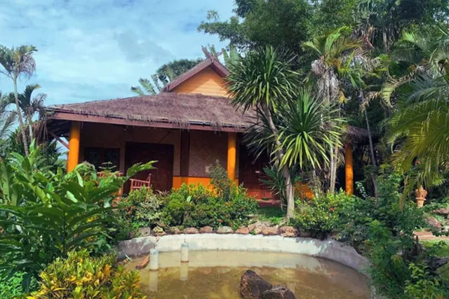 Old tree's house resort.