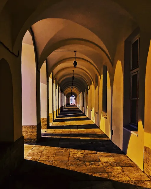 Sankt-Peterburgskiy Gosudarstvennyy Universitet Institut Istorii