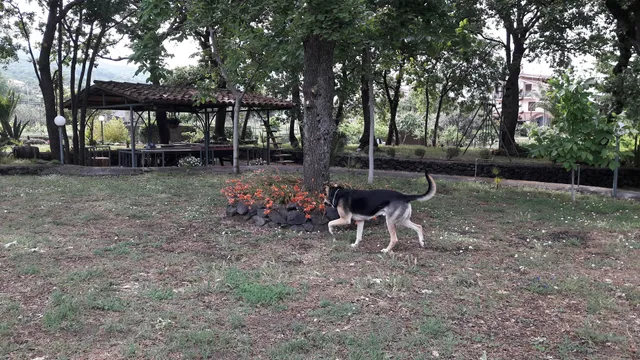 San Gerardo Apartment