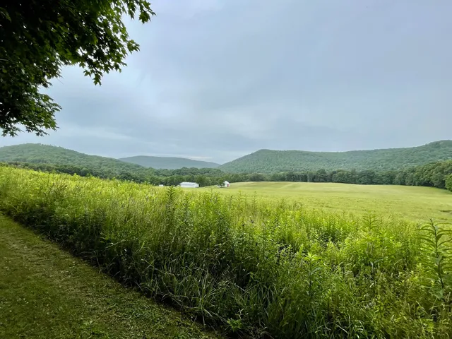 Sang Run Friends Store