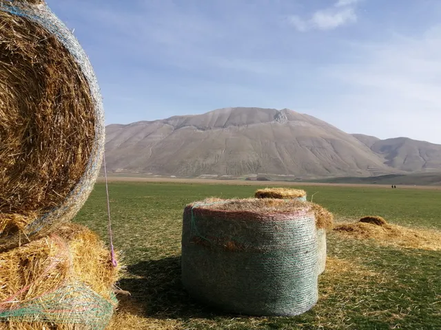 La Webcam di Castelluccio