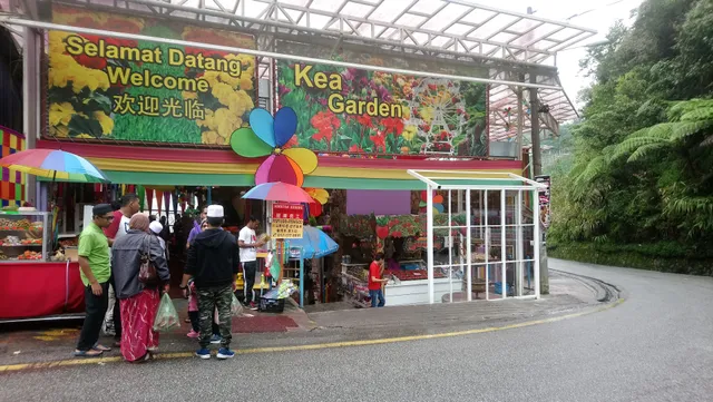 Wah Zai Sweet Potato Ball @Kea Farm