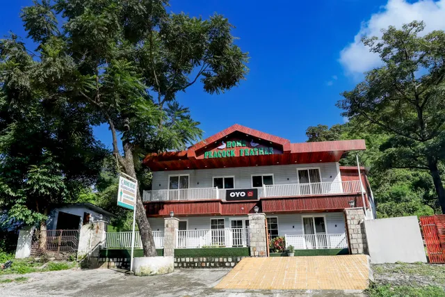 Hotel Peacock Feather