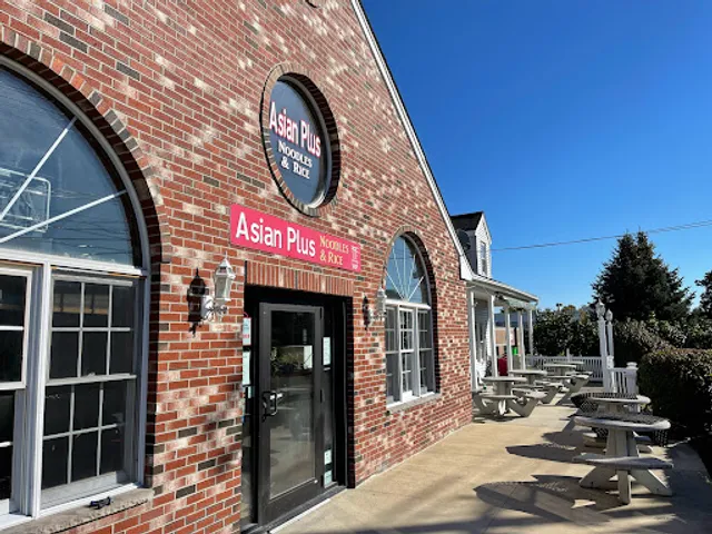 Asian Plus Noodle & Rice