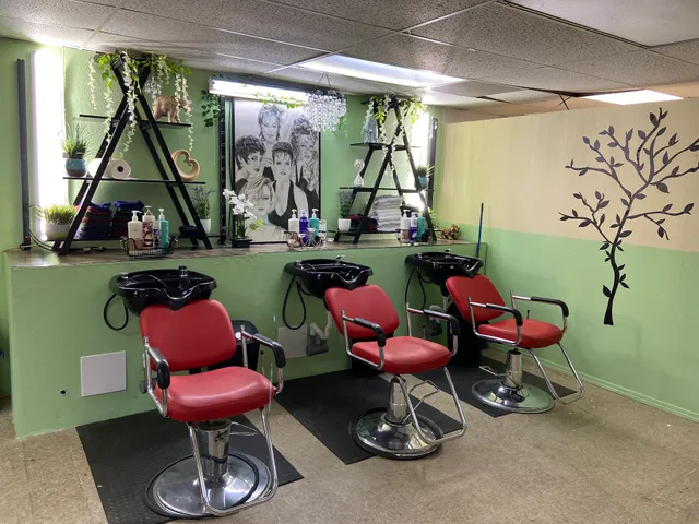 Gorgeous Hair & Nail salon / Cats barber shop