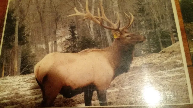 Fort Fairfield Recreation Department