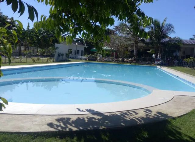 Kiwi's Hidden Resort