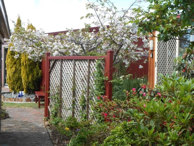 Tidelines Of Bicheno