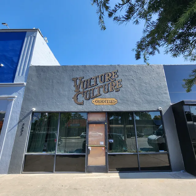 Vulture Culture Oddities