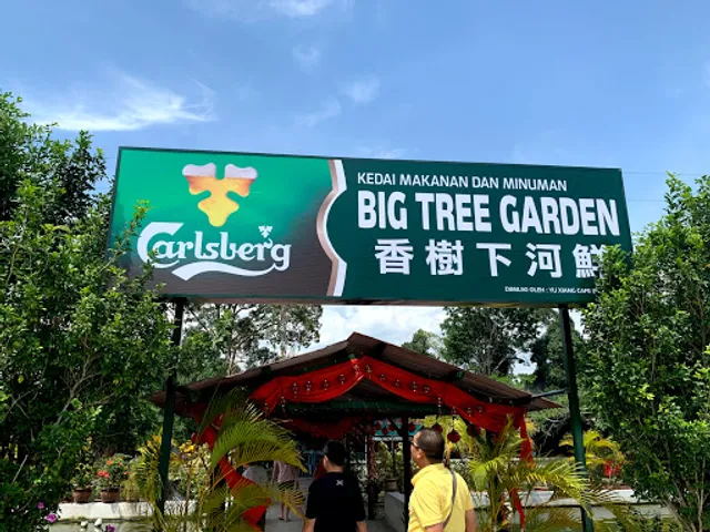 Big Tree Forest Corner