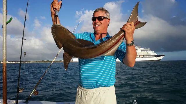 Yacht Paradise Key West