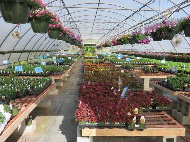 Greenfield Plant Farm - Retail