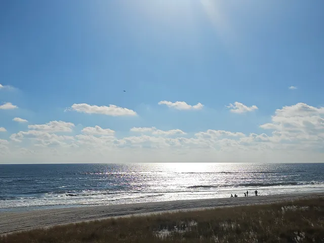 Fire Island Wilderness Visitor Center