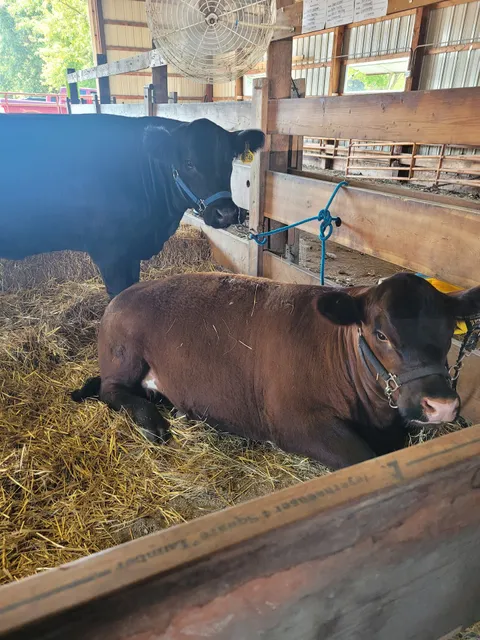 Watonwan County Fair