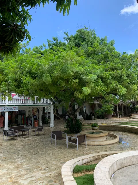 Tropik Bowl las terrenas