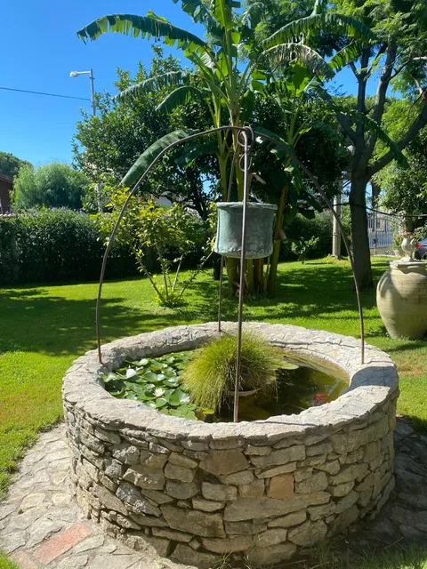 The Garden of Wonders