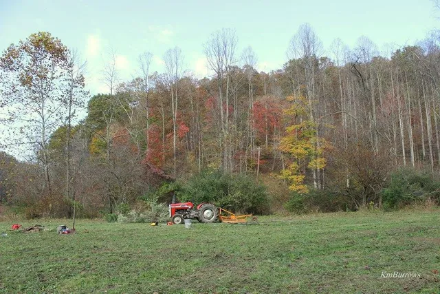 Coon Creek Cove Farms