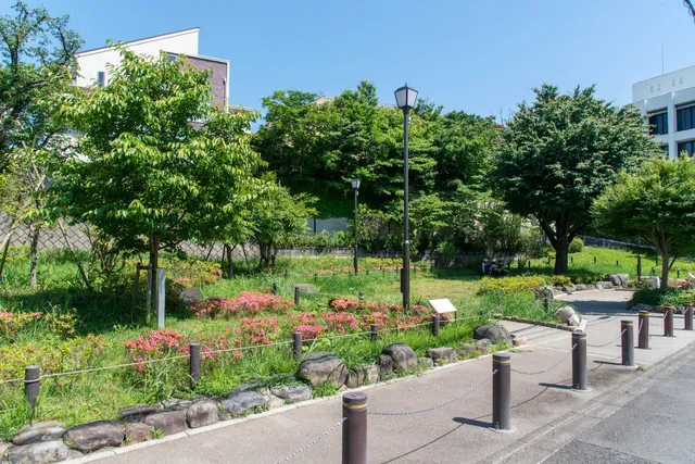 Todorikikeikoku Park