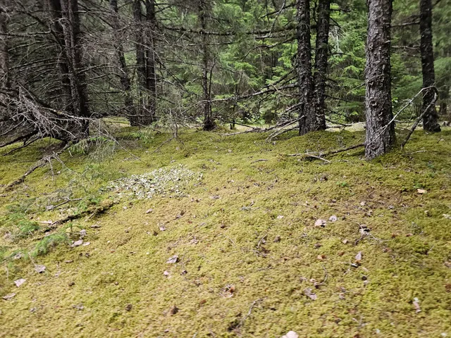 Chilkoot Trail Trailhead