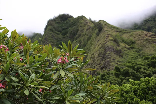 Hawaii Nature Center