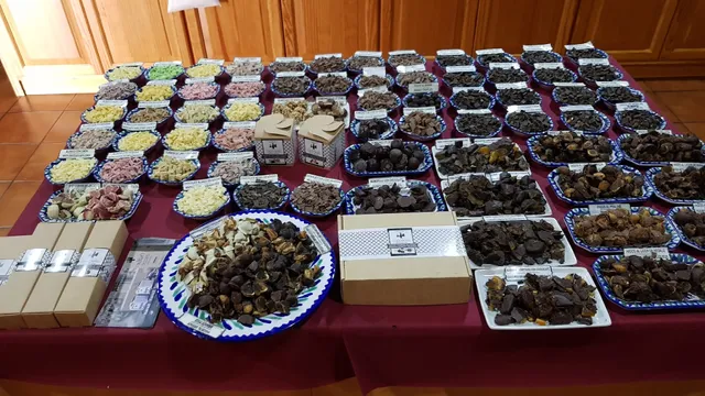 Chocolates Sierra Nevada