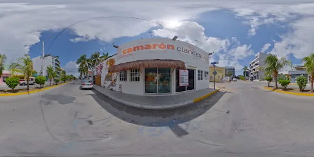 Camarón clandestino