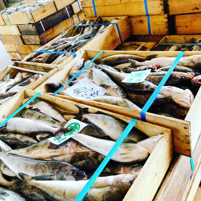 Otarushi Gyogyo Kyodo Kumiai Chihooroshiuri Market