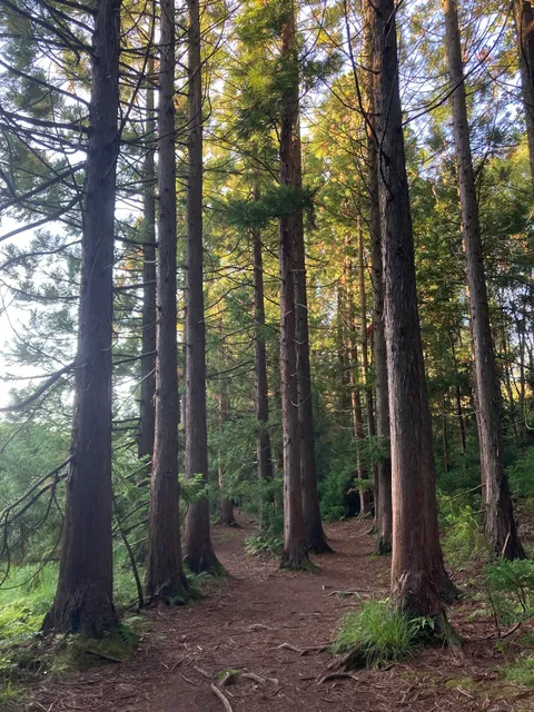 Änggårdsbergen Trail