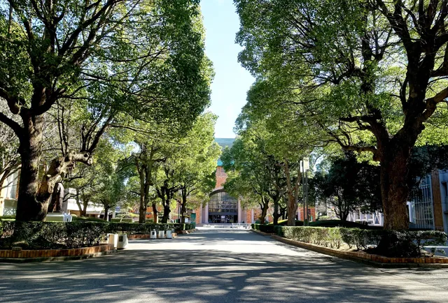 Chiba University of Commerce