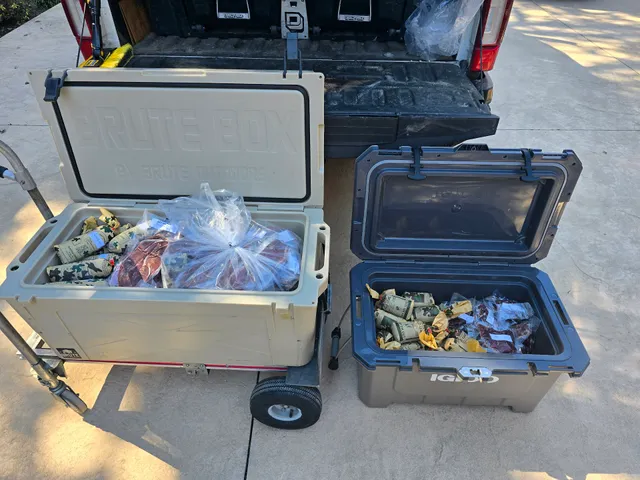 Wild Country Game Processing