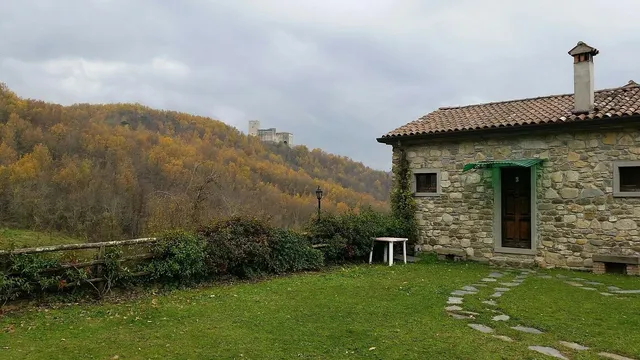 Le chianine dei Tognoli