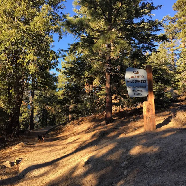 South Ridge Trailhead