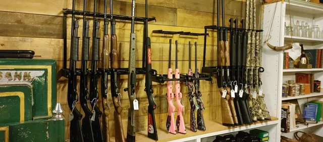 Dangerous Dave and Sons