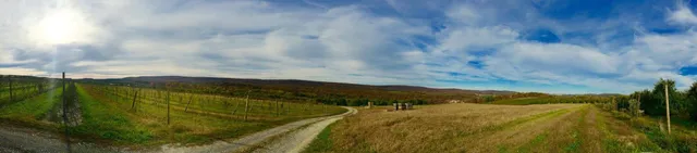 Three Springs Fruit Farm