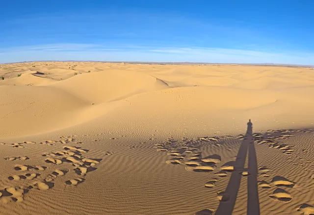 Et-taous ⵟⴰⵡⵙ الطاوس