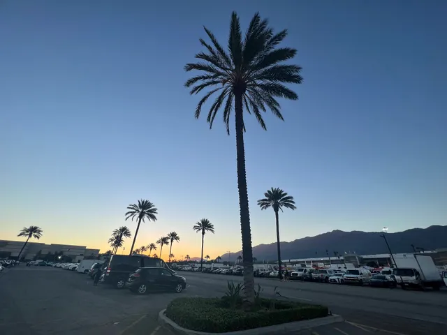 Gate 3 Santa Anita Park