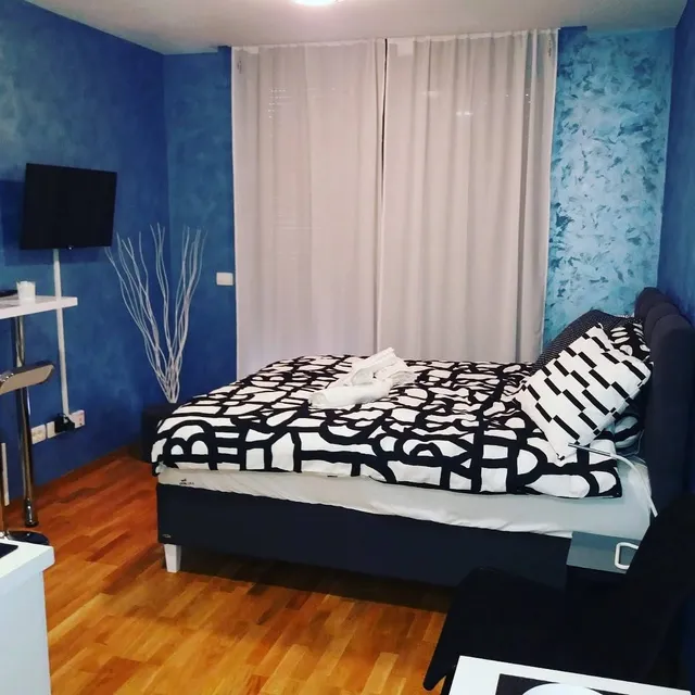 Apartman Rajić Central Lux
