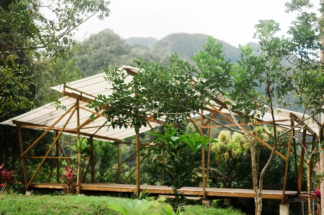 Omega Tours Adventure Company and Jungle Lodge