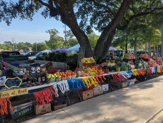 Diamondhead Community Center