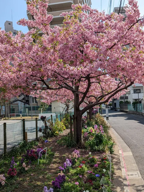 Shiratoriminami Park