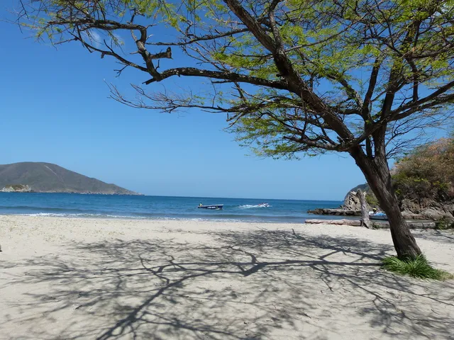 Diversitrip Agencia de Viajes y Ecoturismo en Colombia