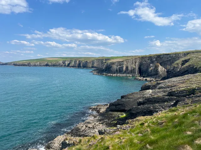 Cardigan Island Coastal Farm Park